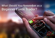 What Should You Remember as a Beginner Forex Trader? Beginner Forex Trader