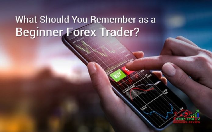 Beginner Forex Trader